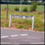 Mustang Drive - A Fitting Tribute