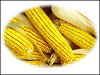جواری 