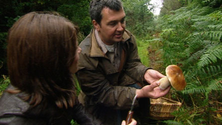 Rachel and Daniel during the mushroom foraging
