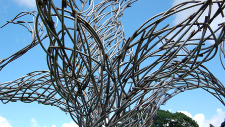 Brigau uchaf y goeden