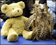 George Bear and Olive