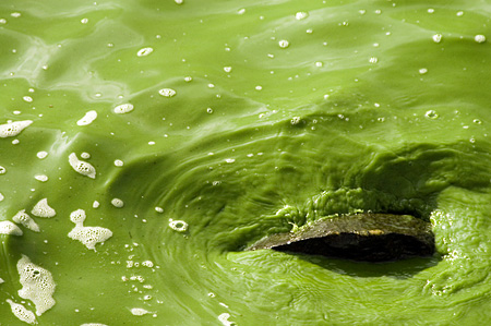 Loch Fad - Isle of Bute