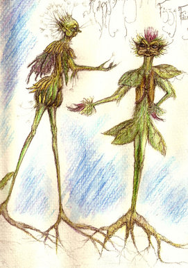 Dandelion and Burdock