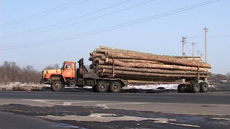 illegal logging from Siberia