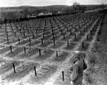 A US soldier views the cemetery at the Hadamar Institute, where victims of the T4 program were buried in mass graves. © United States Holocaust Memorial Museum (USHMM)