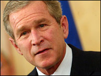 Bush