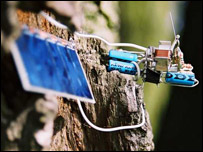 ELF by Pascal Glissmann and Martina Hofflin