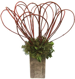 cornus and berried tree ivy in tall vase