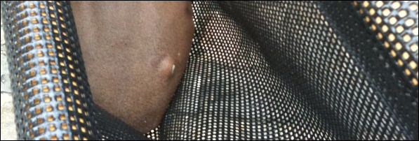 Florence, the nurse shark. Geddit?