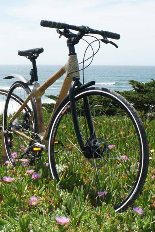 bamboo bike, ghana
