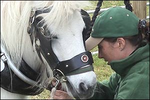 Charlotte Faulkner and Midge