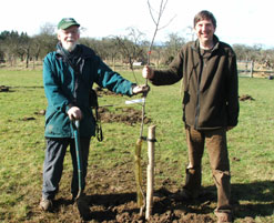Brett and Harry planting a tree
