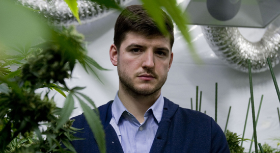 Cannabis: What's The Harm? (James Alexandrou)