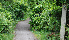 Path leading to the Golden Steps 