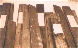 Work by Joy Pitts, artist