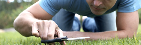 A novel way of cutting the grass