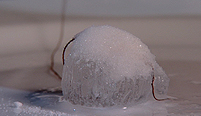 A cube of ice covered with the end of a piece of string and some salt.