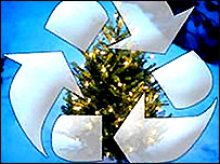 Christmas tree recycling