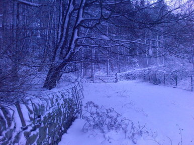 The Gate.
