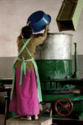 Woman working in a tea factory