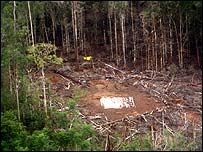 Campo das Farc após ataque colombiano