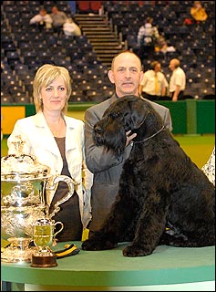 Jafrak Philippe Olivier