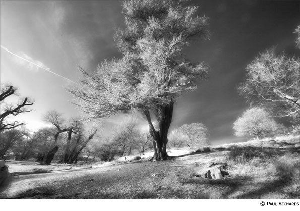 Photo by Paul Richards