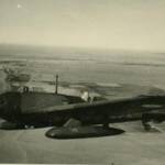 Wellesley of 223 Sqn over N. Kenya.