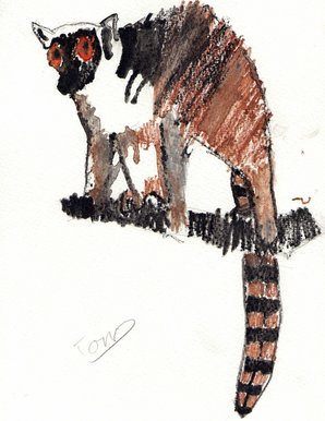 Lemur
