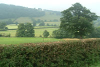 Golygfa o Lanfair Caereinion