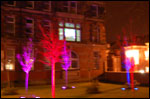 Coloured trees and building