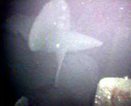 Under of the Scharnhorst propellors