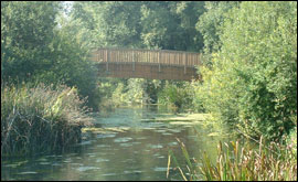 Bridge over the Loddon