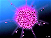 Adenovirus