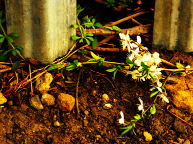 Brilliance amongst the mundane