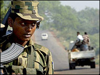 تامل ٹائیگر