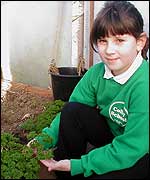 Picture: A pupil shows off the parsley in the poly tunnel