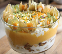 Nigel's Christmas trifle