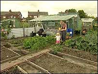 Allotments