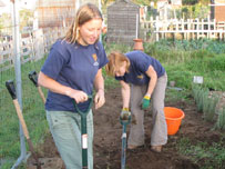 Helping in the allotment