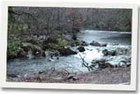 Afon
