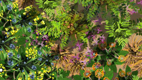 A detail from the takeaway plan