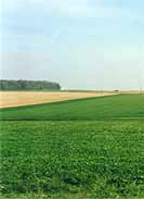 New Zealand Memorial today