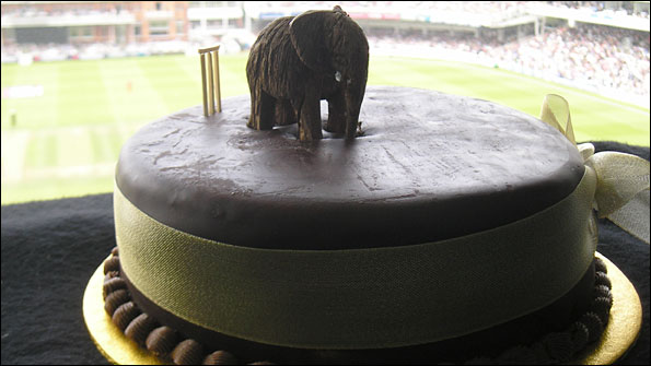 David Shepherd's elephant cake