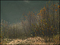 At Doulton Clay Pit, by By Mike Jemmett