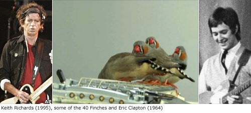 Keith Richards, birds and Eric Clapton