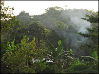 floresta