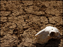 سپین میں خشک سالی کا ایک منظر
