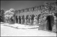 Buildwas Abbey