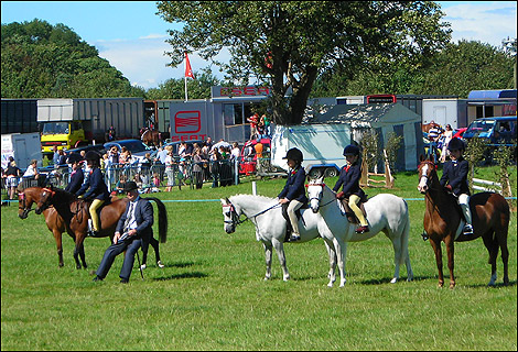 Oswestry Show 2008